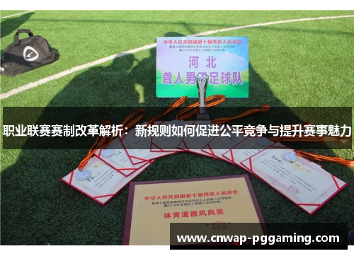 职业联赛赛制改革解析：新规则如何促进公平竞争与提升赛事魅力