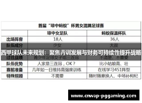 西甲球队未来规划：聚焦青训发展与财务可持续性提升战略