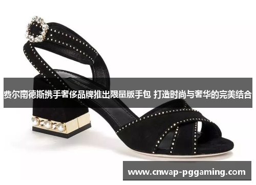 费尔南德斯携手奢侈品牌推出限量版手包 打造时尚与奢华的完美结合