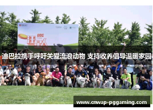 迪巴拉携手呼吁关爱流浪动物 支持收养倡导温暖家园