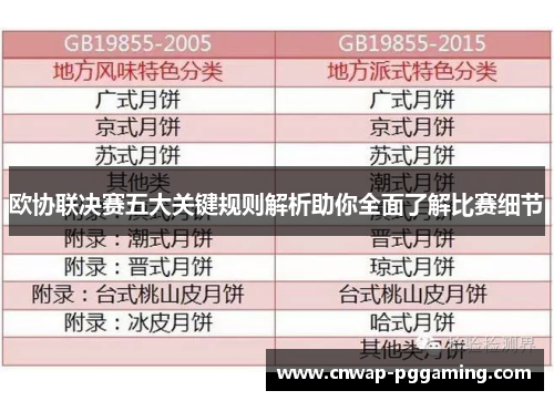 欧协联决赛五大关键规则解析助你全面了解比赛细节